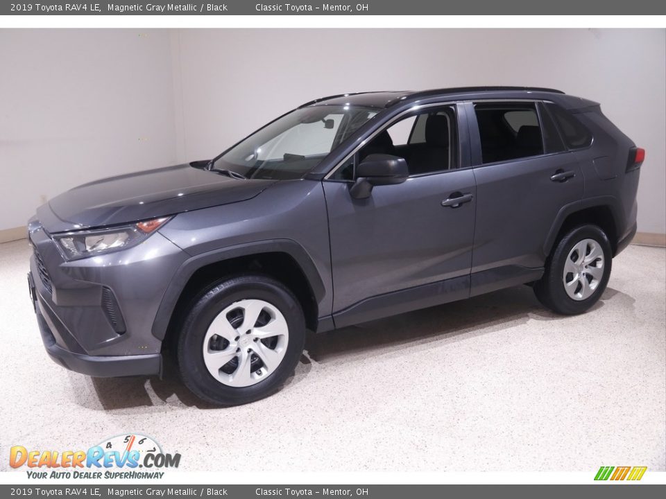 2019 Toyota RAV4 LE Magnetic Gray Metallic / Black Photo #3
