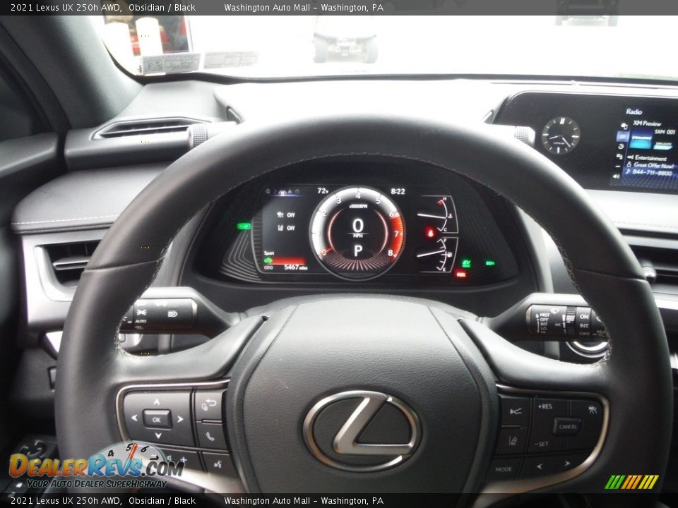 2021 Lexus UX 250h AWD Steering Wheel Photo #8