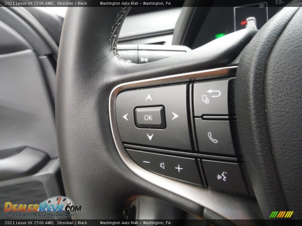 2021 Lexus UX 250h AWD Steering Wheel Photo #9