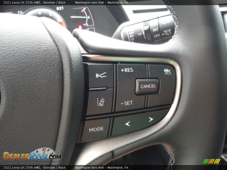 2021 Lexus UX 250h AWD Steering Wheel Photo #10