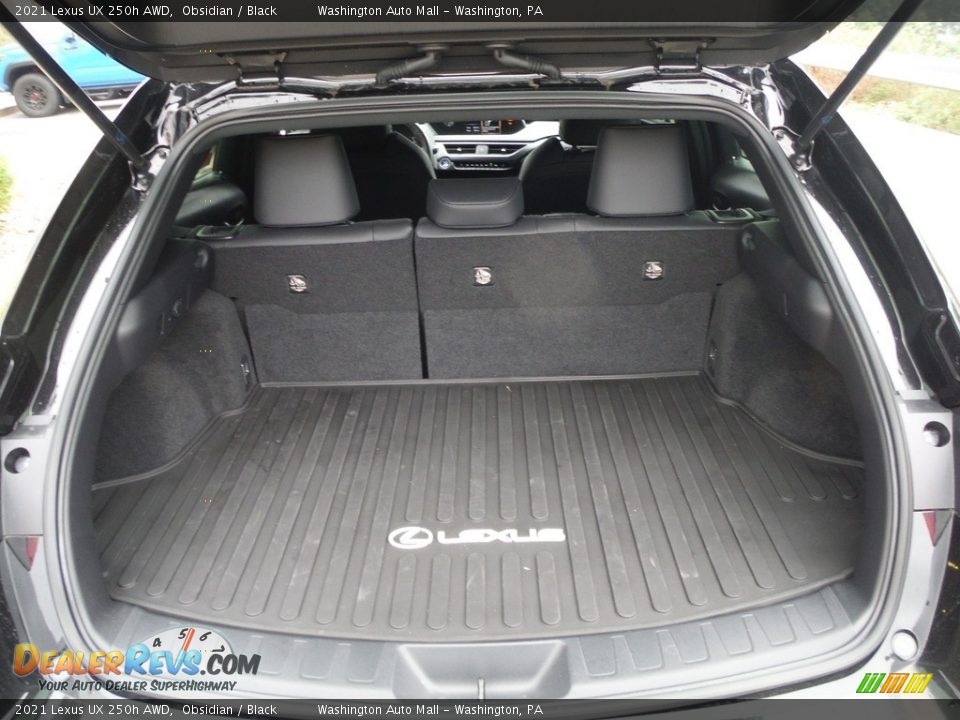 2021 Lexus UX 250h AWD Trunk Photo #30