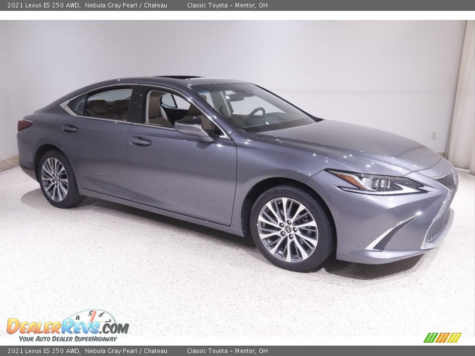 2021 Lexus ES 250 AWD Nebula Gray Pearl / Chateau Photo #1