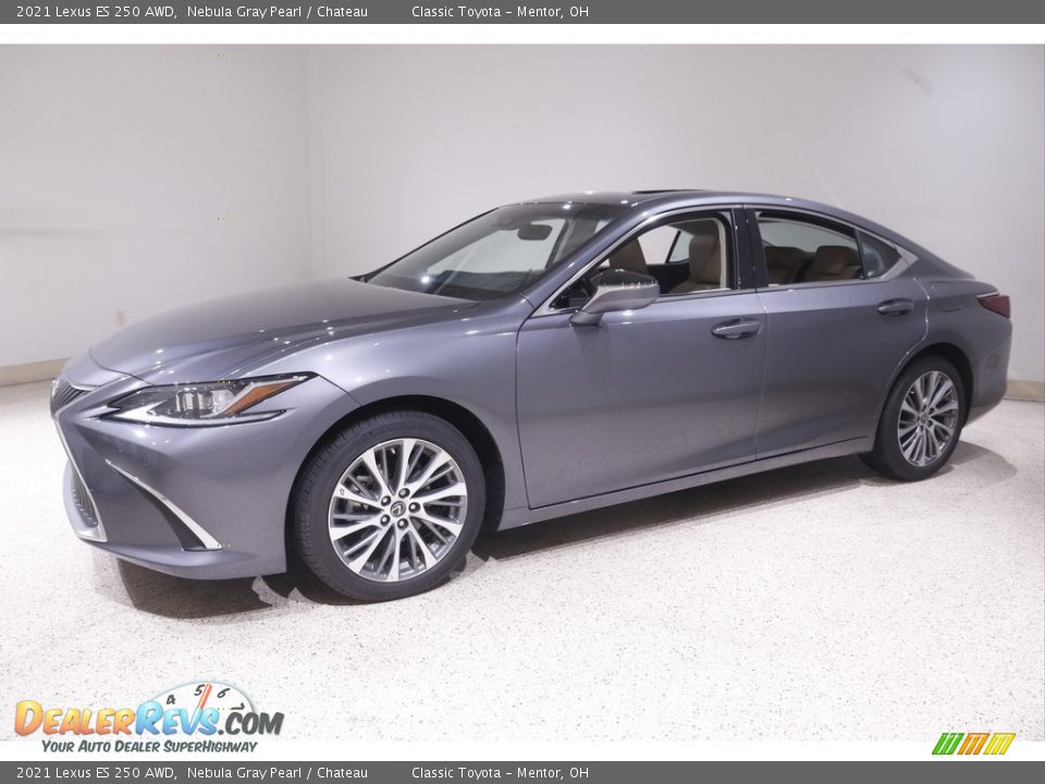 2021 Lexus ES 250 AWD Nebula Gray Pearl / Chateau Photo #3