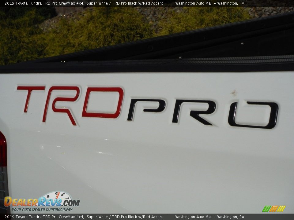 2019 Toyota Tundra TRD Pro CrewMax 4x4 Logo Photo #13