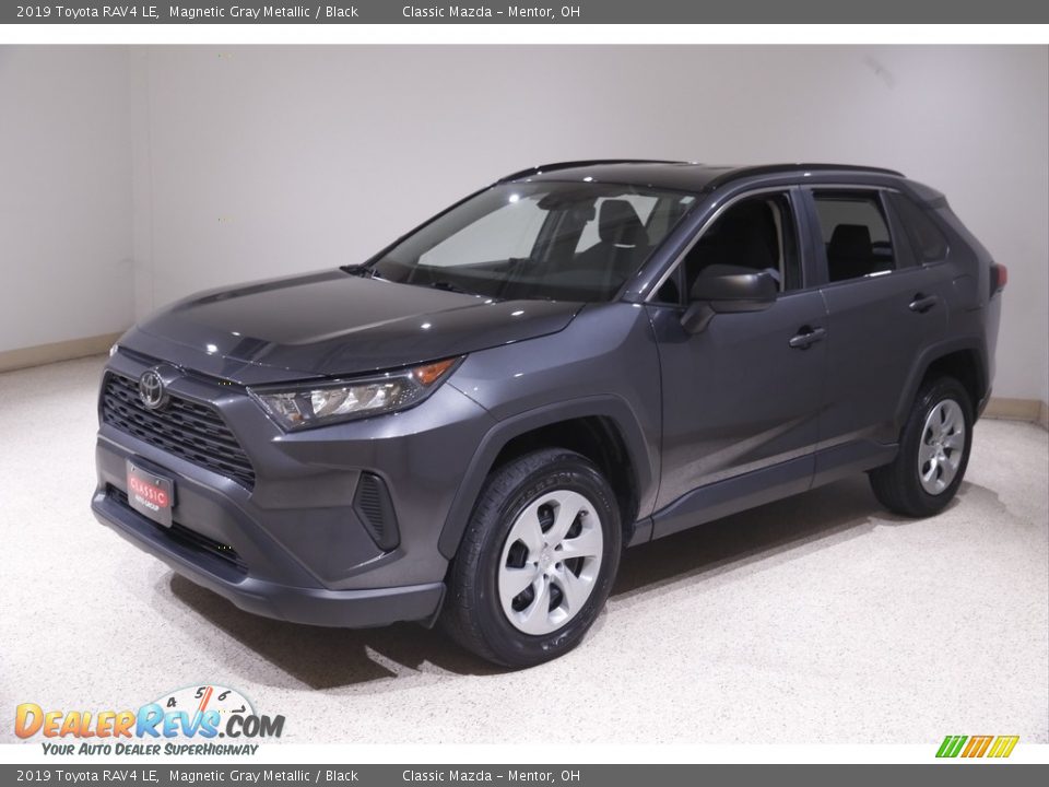 2019 Toyota RAV4 LE Magnetic Gray Metallic / Black Photo #3