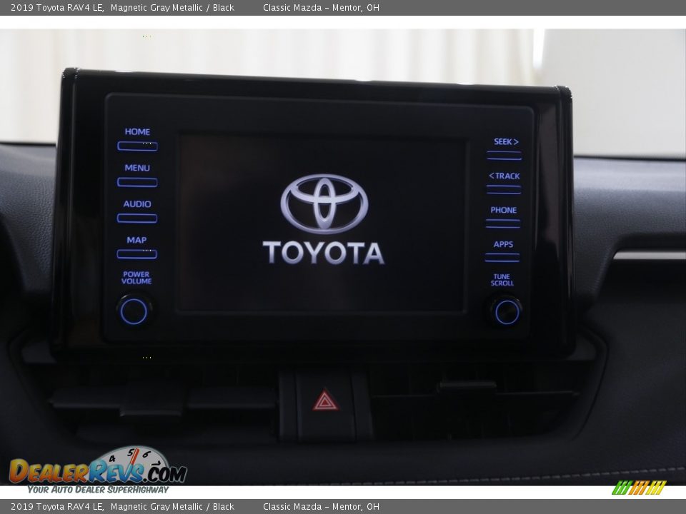 2019 Toyota RAV4 LE Magnetic Gray Metallic / Black Photo #9