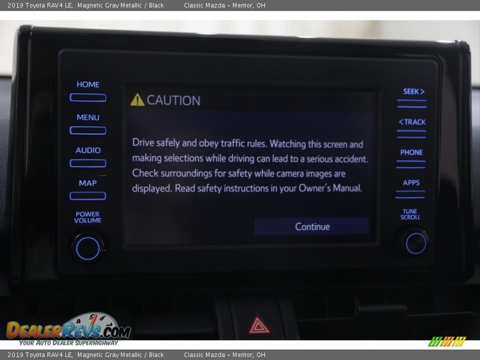 2019 Toyota RAV4 LE Magnetic Gray Metallic / Black Photo #10