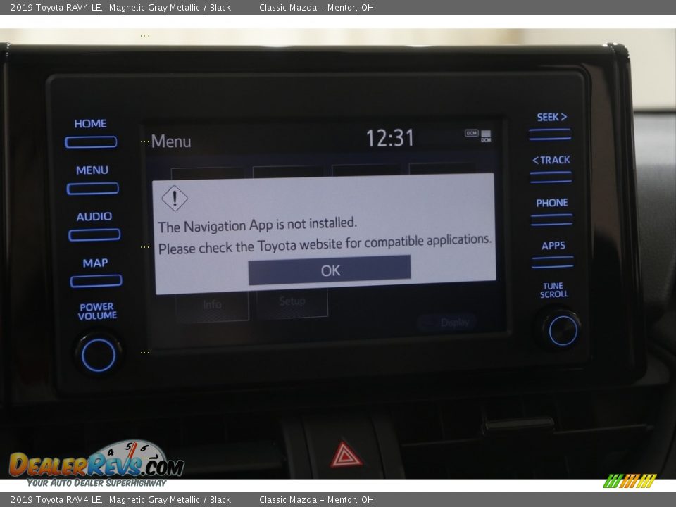2019 Toyota RAV4 LE Magnetic Gray Metallic / Black Photo #14