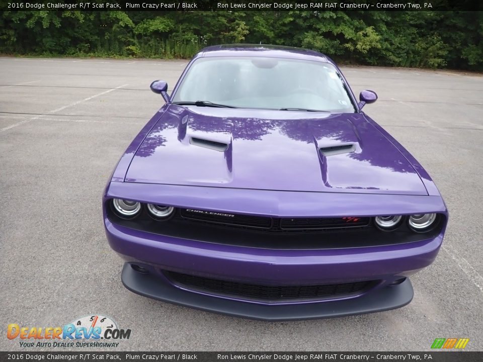 2016 Dodge Challenger R/T Scat Pack Plum Crazy Pearl / Black Photo #2