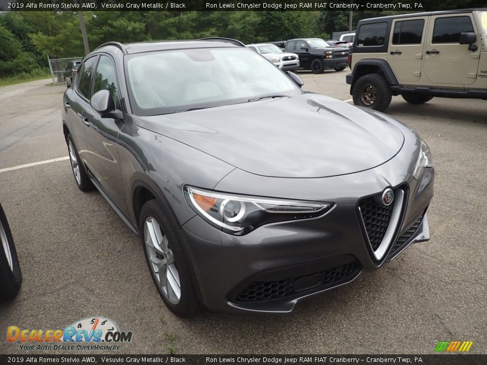 2019 Alfa Romeo Stelvio AWD Vesuvio Gray Metallic / Black Photo #2