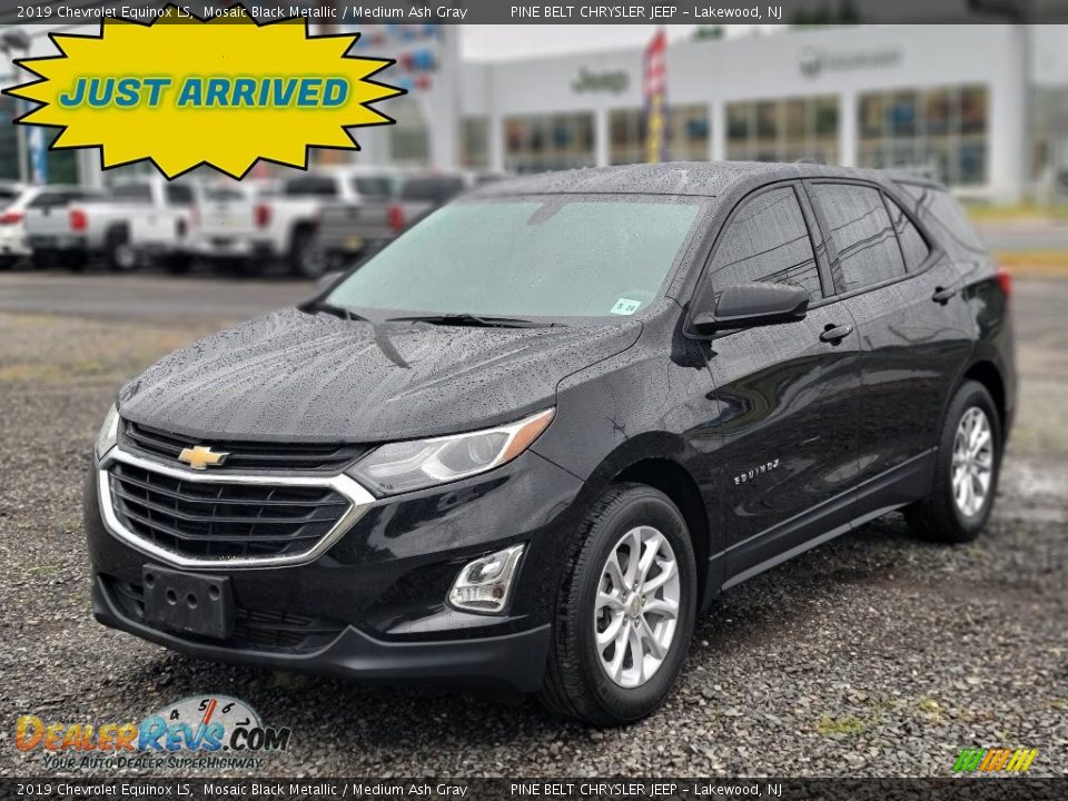 2019 Chevrolet Equinox LS Mosaic Black Metallic / Medium Ash Gray Photo #1