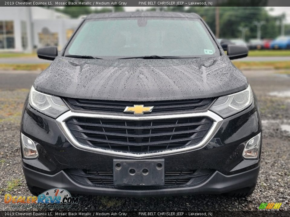 2019 Chevrolet Equinox LS Mosaic Black Metallic / Medium Ash Gray Photo #2