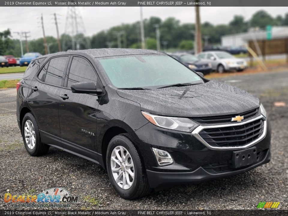 2019 Chevrolet Equinox LS Mosaic Black Metallic / Medium Ash Gray Photo #3