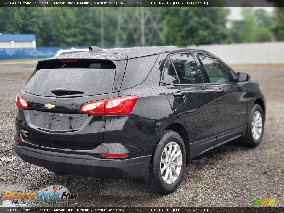 2019 Chevrolet Equinox LS Mosaic Black Metallic / Medium Ash Gray Photo #6