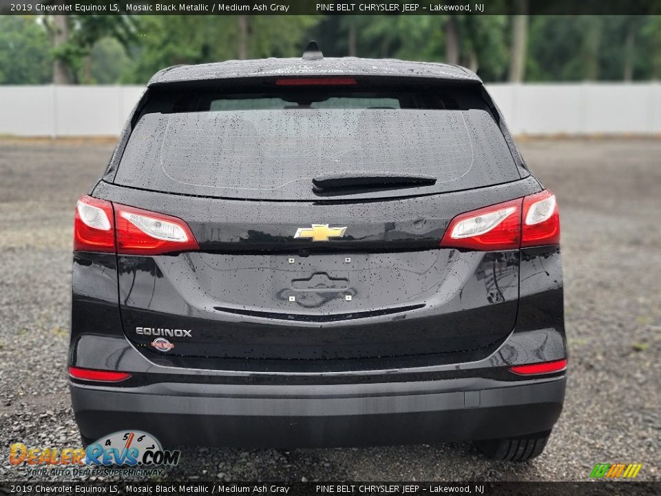 2019 Chevrolet Equinox LS Mosaic Black Metallic / Medium Ash Gray Photo #7