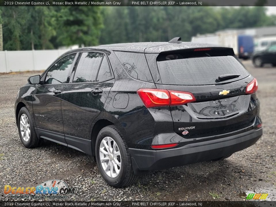 2019 Chevrolet Equinox LS Mosaic Black Metallic / Medium Ash Gray Photo #8