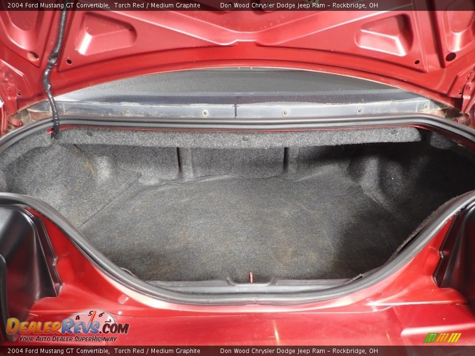 2004 Ford Mustang GT Convertible Torch Red / Medium Graphite Photo #7