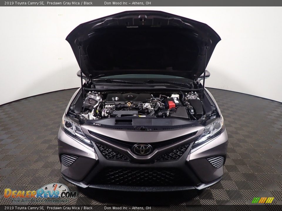 2019 Toyota Camry SE Predawn Gray Mica / Black Photo #6