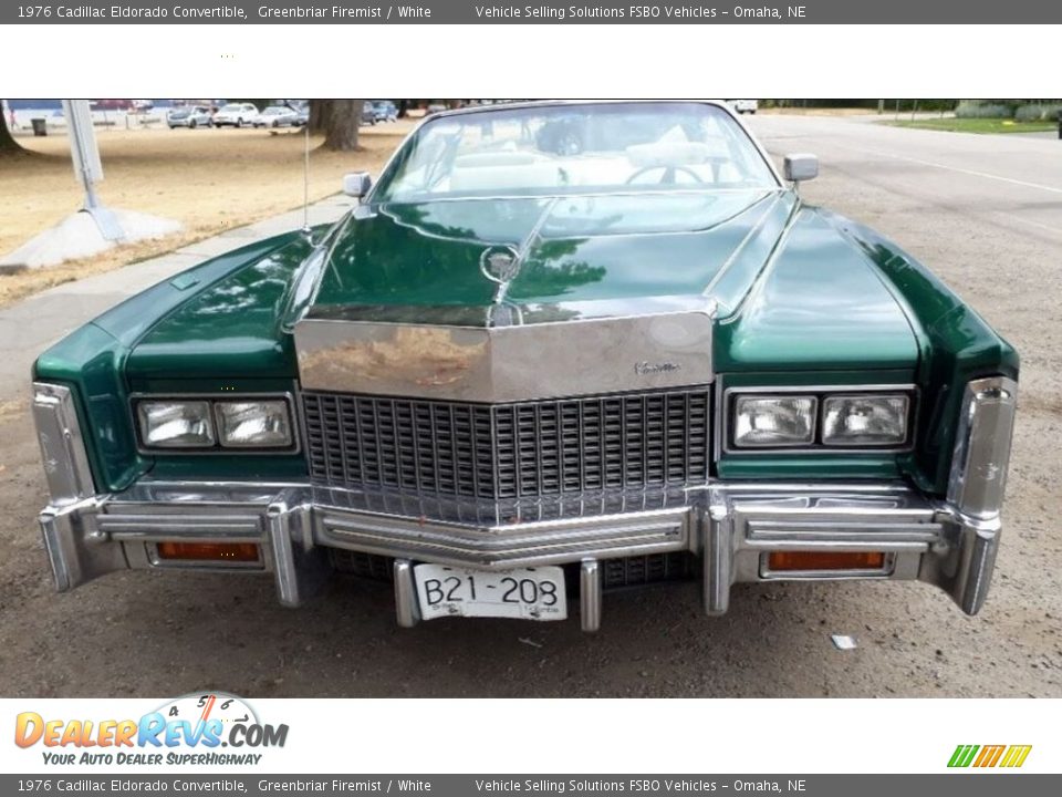 Greenbriar Firemist 1976 Cadillac Eldorado Convertible Photo #4