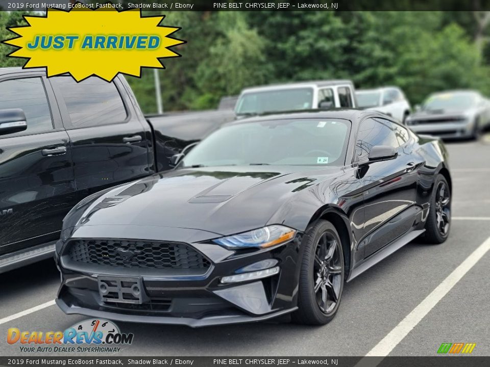 2019 Ford Mustang EcoBoost Fastback Shadow Black / Ebony Photo #1