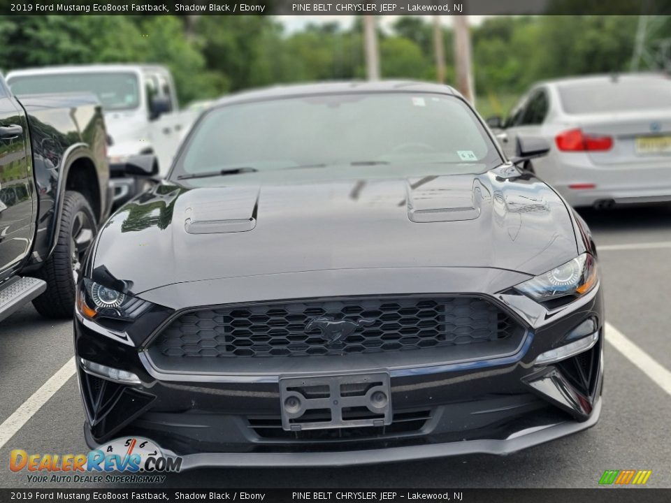 2019 Ford Mustang EcoBoost Fastback Shadow Black / Ebony Photo #2