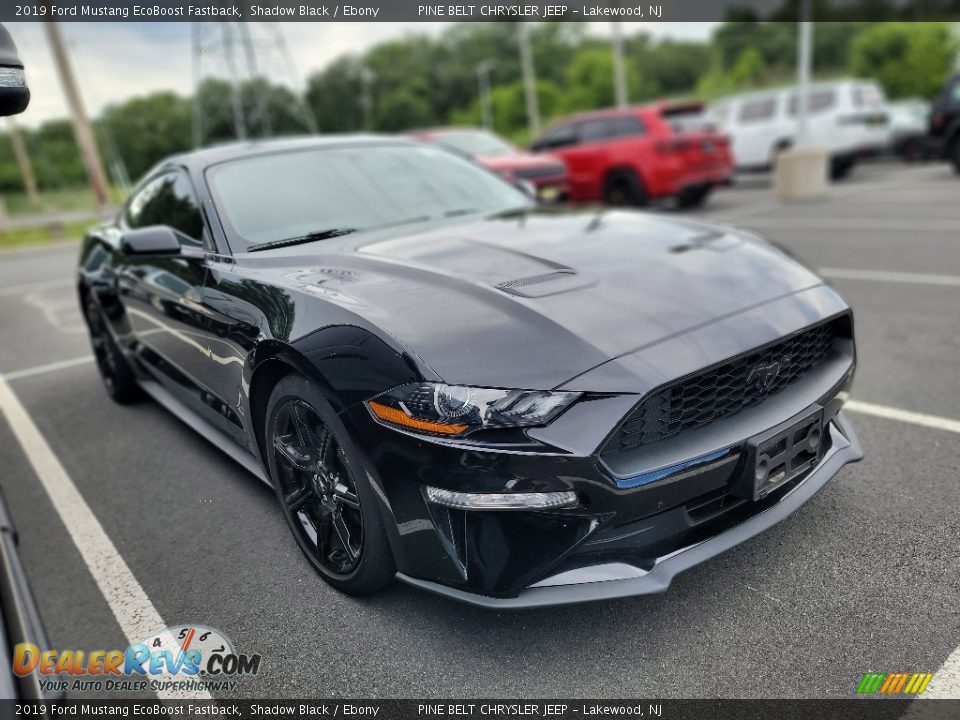 2019 Ford Mustang EcoBoost Fastback Shadow Black / Ebony Photo #3