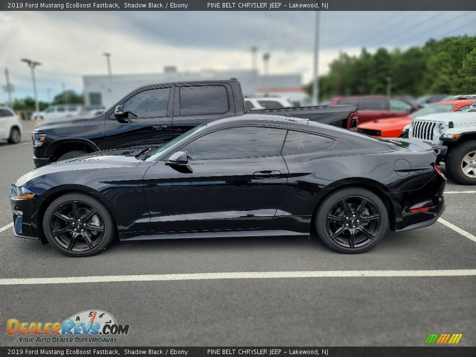 Shadow Black 2019 Ford Mustang EcoBoost Fastback Photo #7