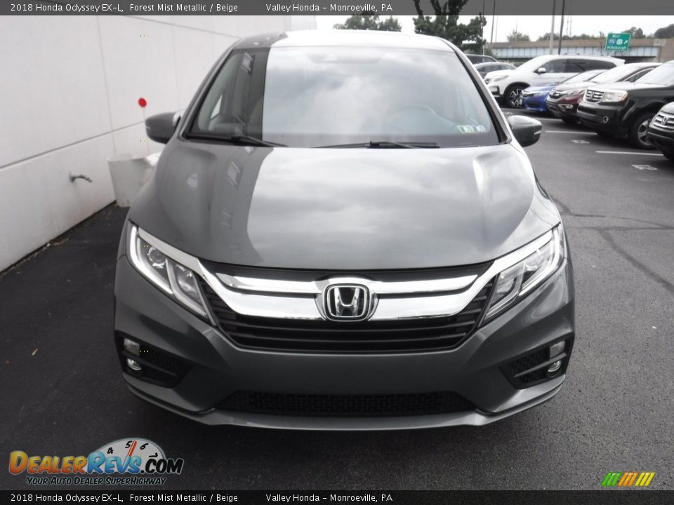 2018 Honda Odyssey EX-L Forest Mist Metallic / Beige Photo #5