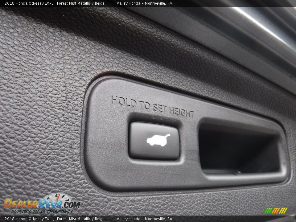 2018 Honda Odyssey EX-L Forest Mist Metallic / Beige Photo #29
