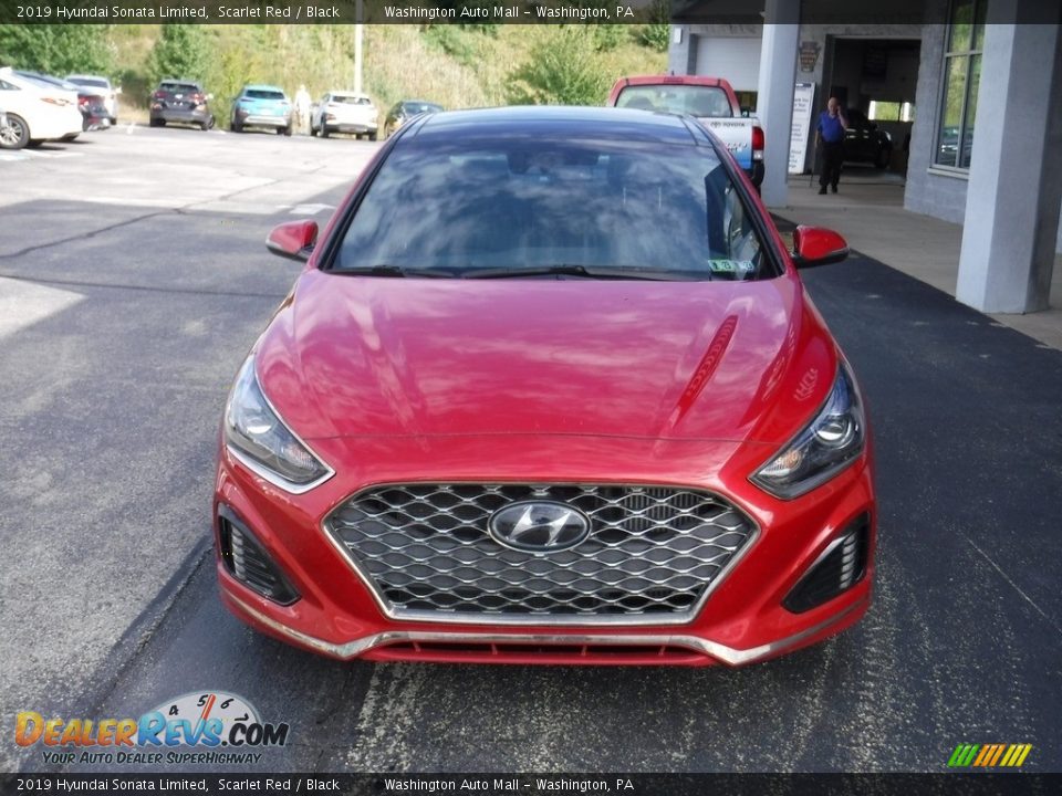 2019 Hyundai Sonata Limited Scarlet Red / Black Photo #5