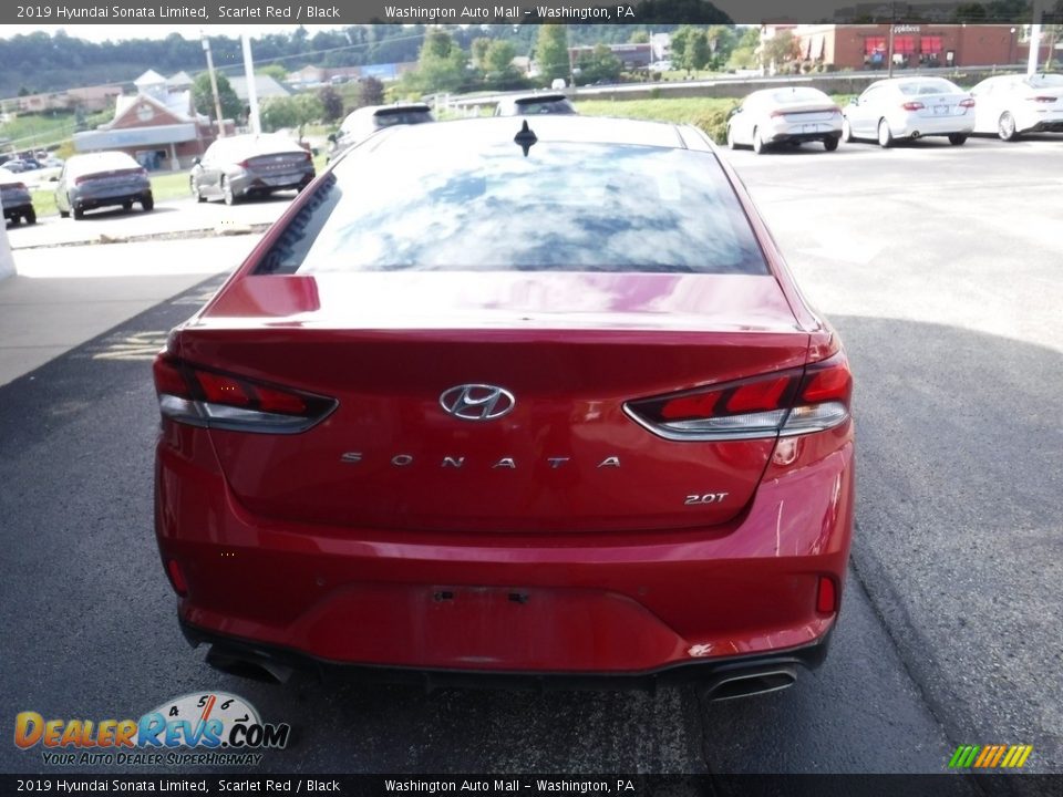 2019 Hyundai Sonata Limited Scarlet Red / Black Photo #8