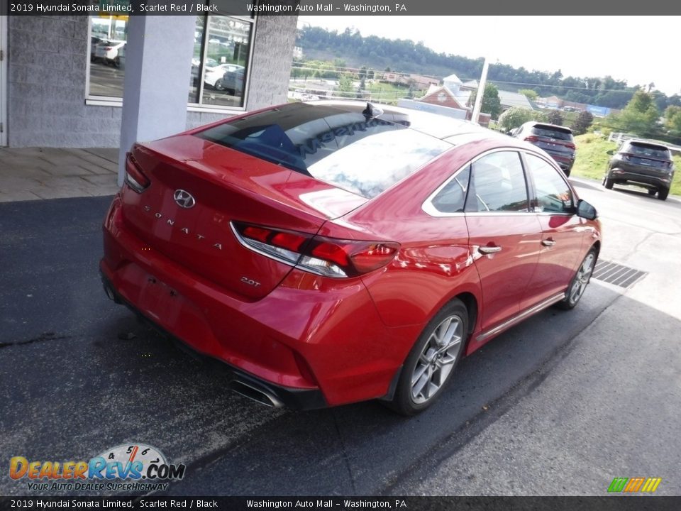 2019 Hyundai Sonata Limited Scarlet Red / Black Photo #9