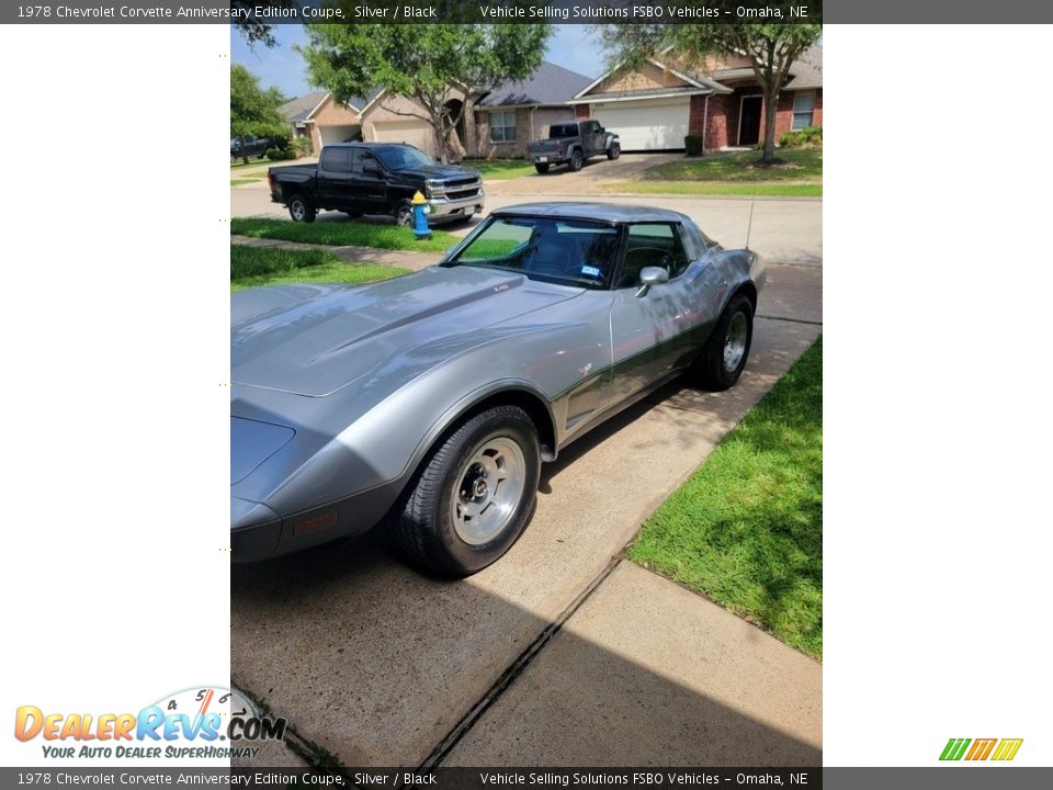 1978 Chevrolet Corvette Anniversary Edition Coupe Silver / Black Photo #3