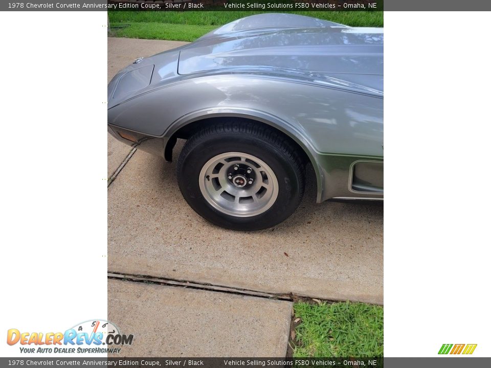 1978 Chevrolet Corvette Anniversary Edition Coupe Silver / Black Photo #11