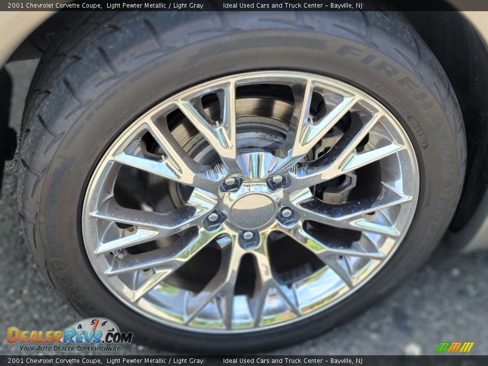 2001 Chevrolet Corvette Coupe Light Pewter Metallic / Light Gray Photo #14