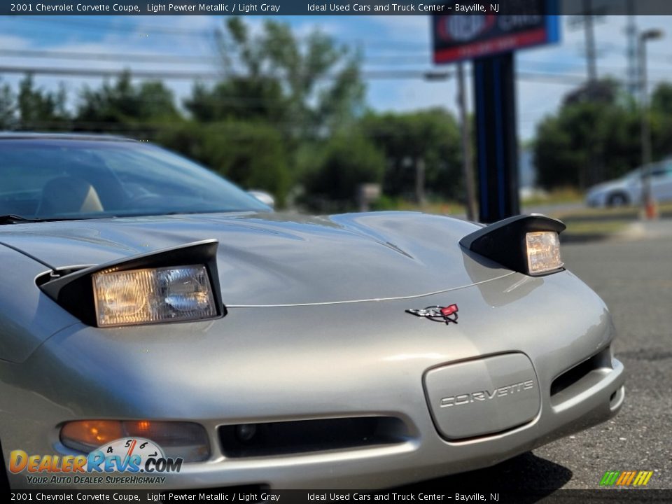 2001 Chevrolet Corvette Coupe Light Pewter Metallic / Light Gray Photo #25