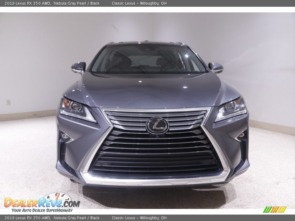 2019 Lexus RX 350 AWD Nebula Gray Pearl / Black Photo #2