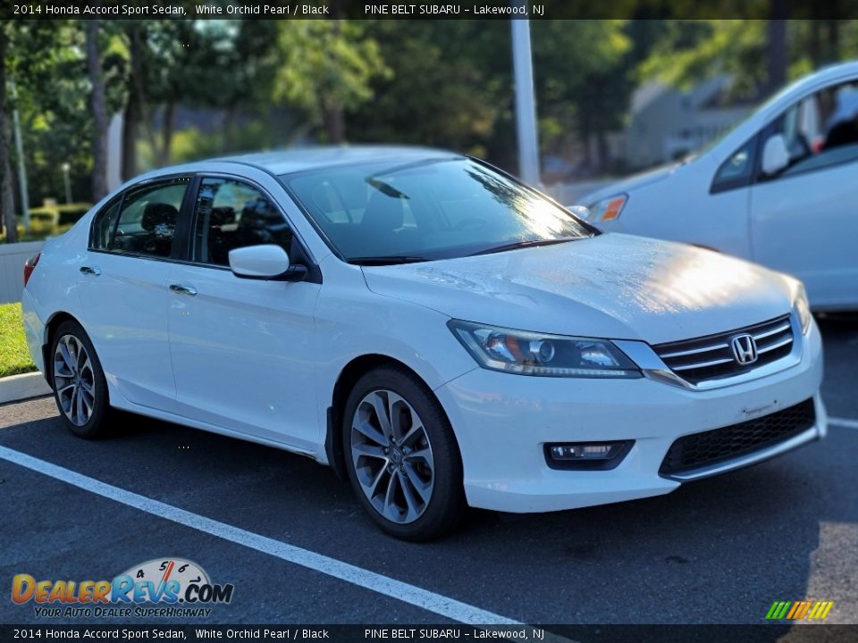 2014 Honda Accord Sport Sedan White Orchid Pearl / Black Photo #3