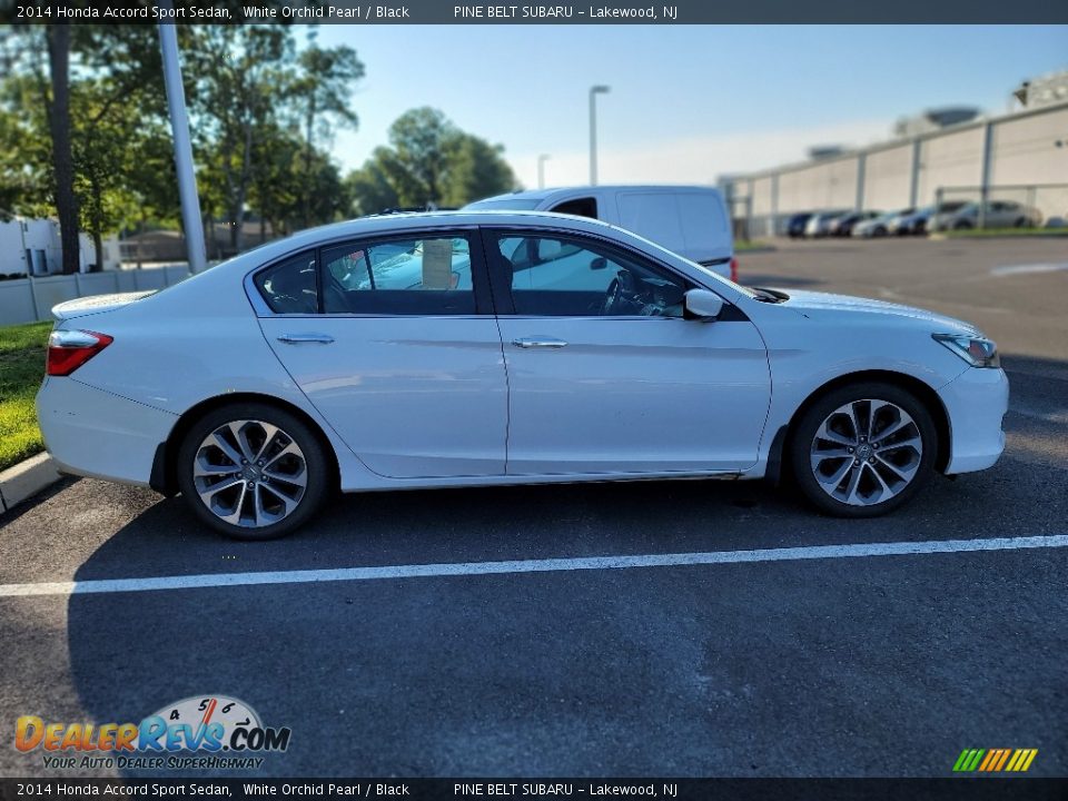 2014 Honda Accord Sport Sedan White Orchid Pearl / Black Photo #5