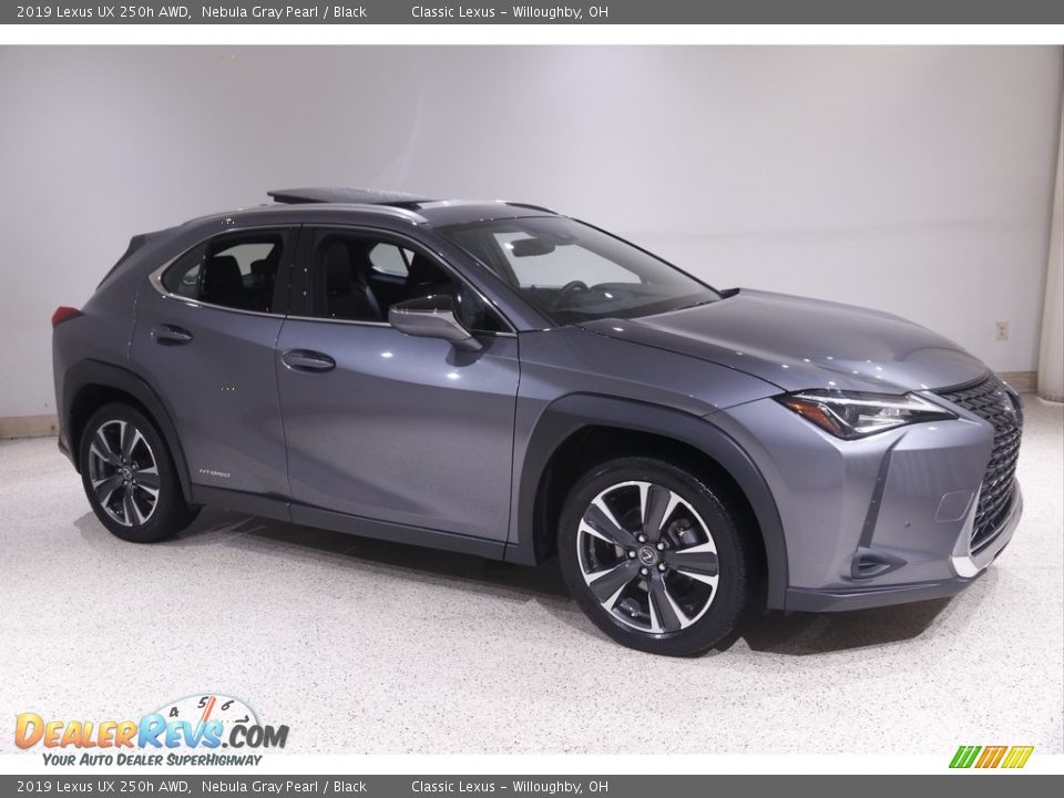 2019 Lexus UX 250h AWD Nebula Gray Pearl / Black Photo #1