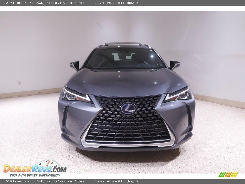 2019 Lexus UX 250h AWD Nebula Gray Pearl / Black Photo #2