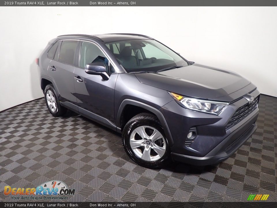 2019 Toyota RAV4 XLE Lunar Rock / Black Photo #3