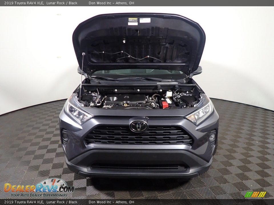 2019 Toyota RAV4 XLE Lunar Rock / Black Photo #5