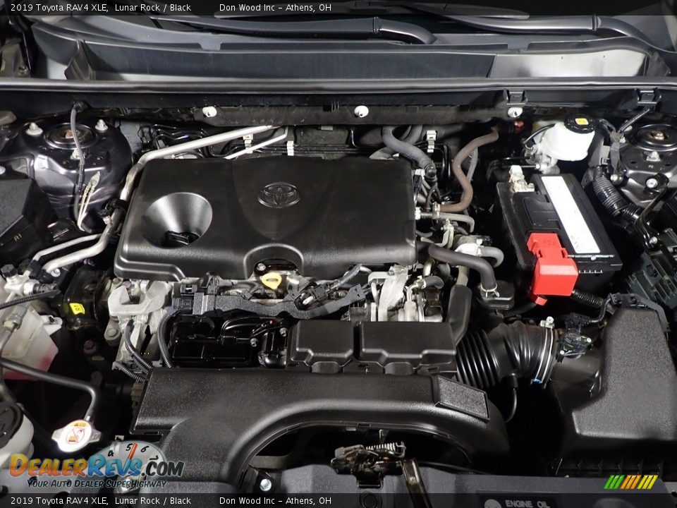2019 Toyota RAV4 XLE Lunar Rock / Black Photo #6