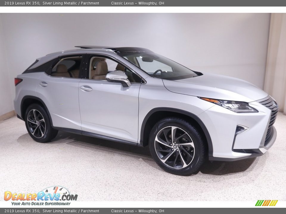 Silver Lining Metallic 2019 Lexus RX 350 Photo #1