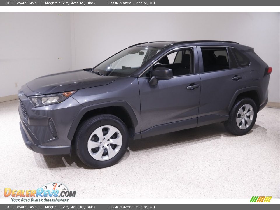 2019 Toyota RAV4 LE Magnetic Gray Metallic / Black Photo #3