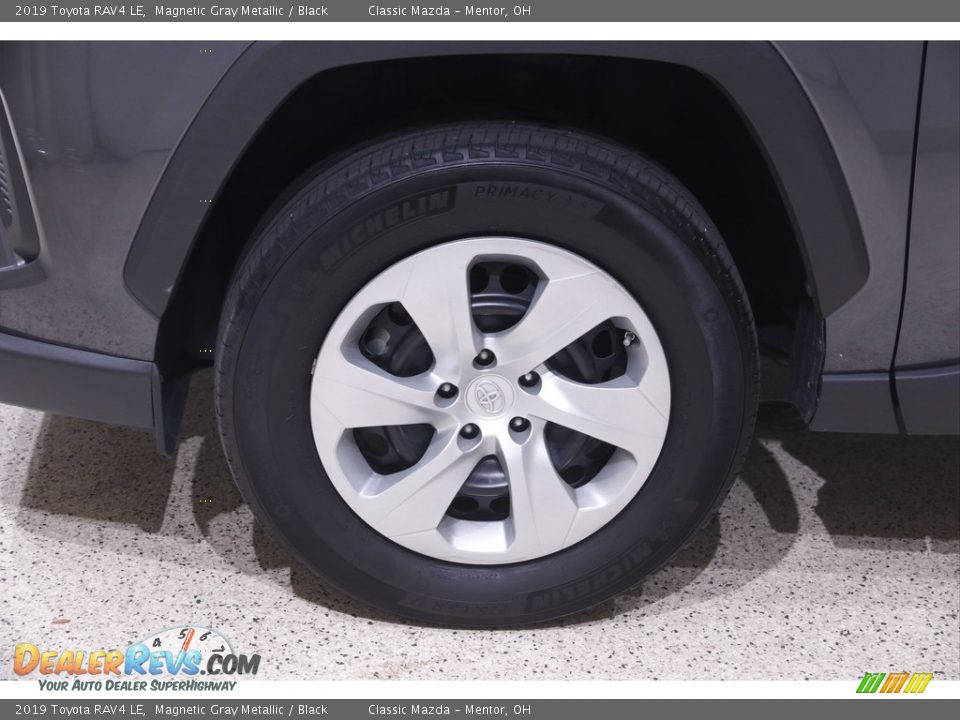 2019 Toyota RAV4 LE Magnetic Gray Metallic / Black Photo #18