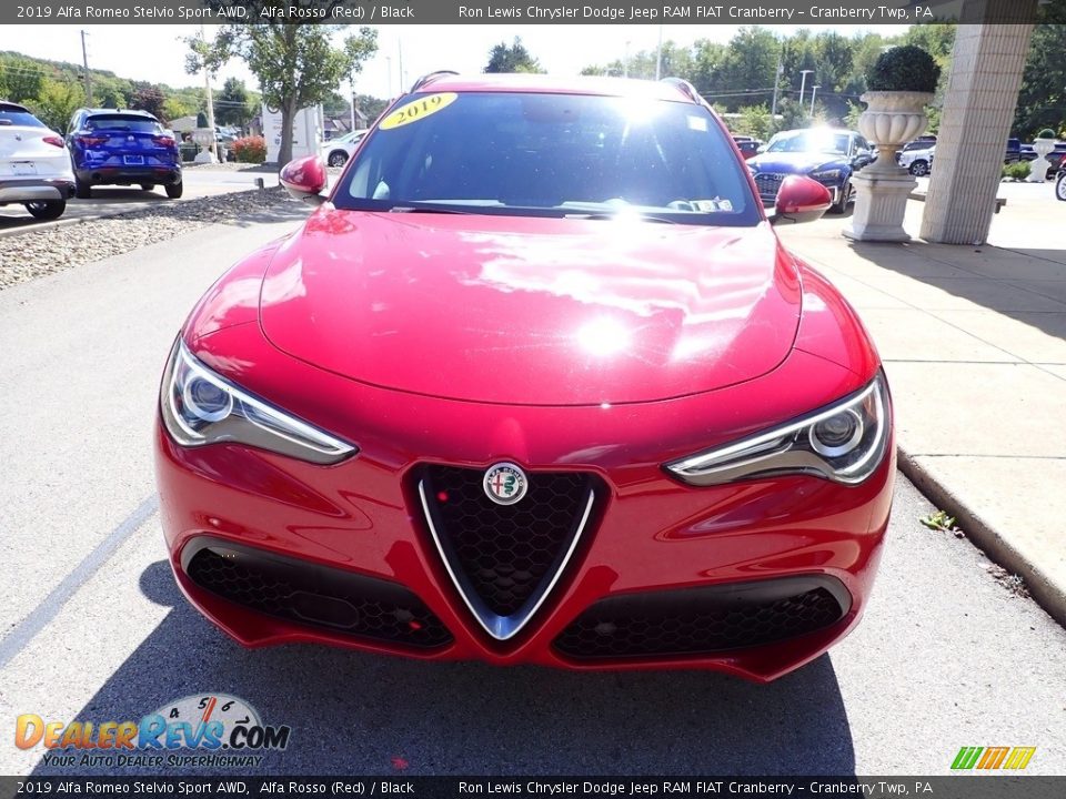 2019 Alfa Romeo Stelvio Sport AWD Alfa Rosso (Red) / Black Photo #3