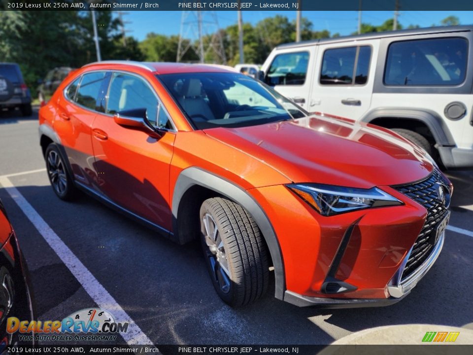 2019 Lexus UX 250h AWD Autumn Shimmer / Birch Photo #3