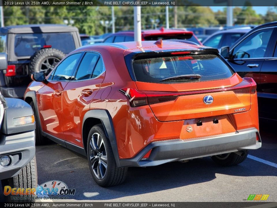 2019 Lexus UX 250h AWD Autumn Shimmer / Birch Photo #5